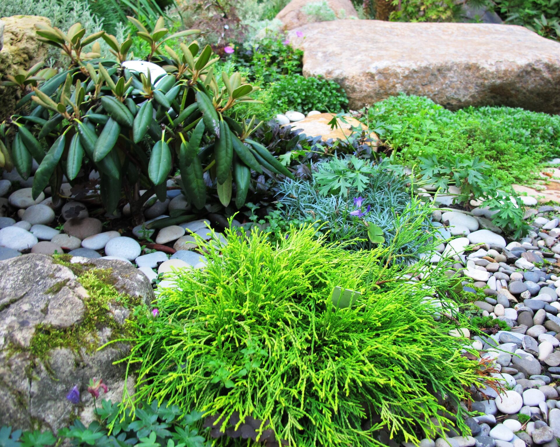 Каменистый сад у Мещерского парка